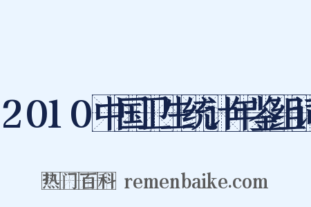 2010中国卫生统计年鉴组词是什么意思的图片